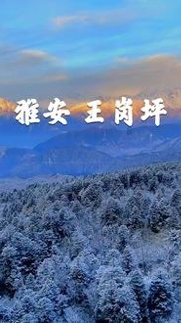 蓝狐视频