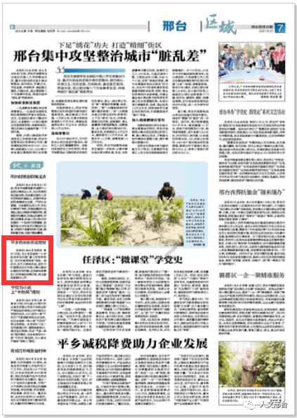 小仓鼠吃瓜子