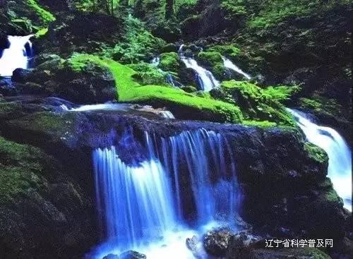 花瓶粉碎者